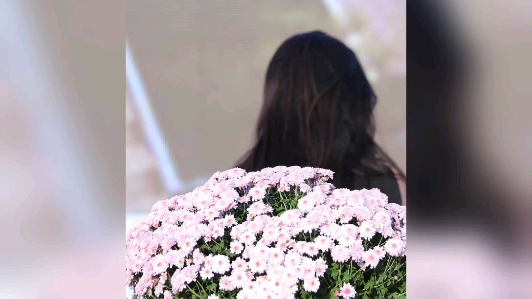 女团饭拍,爱了爱了